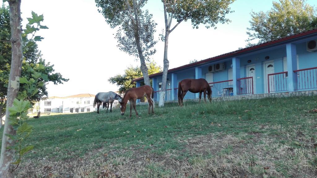 Familia Hotel Loutra Volvis Exterior photo
